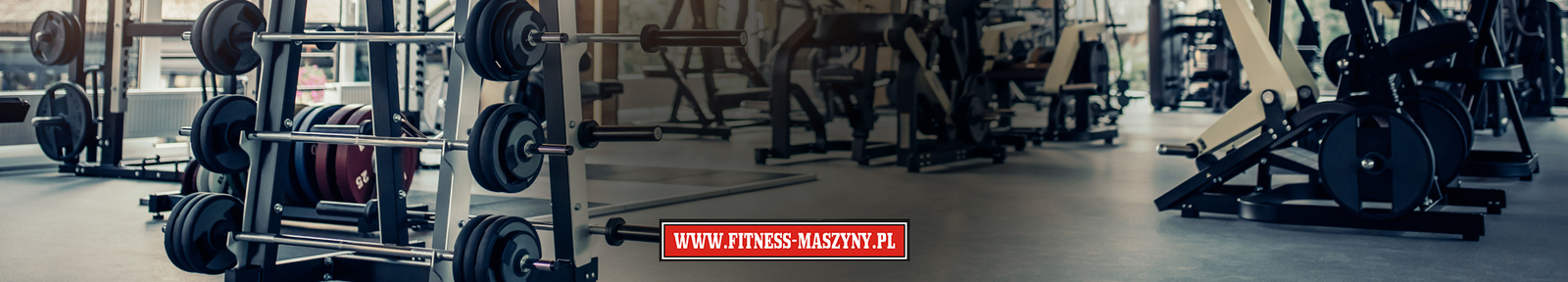 Profesjonalne urządzenia fitness