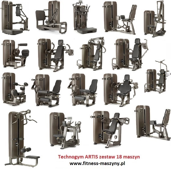 - Artis Technogym ARTIS 18 maszyn / 38000 EUR netto Maszyny do Siłowni