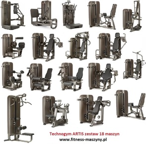 - Artis Technogym ARTIS 18 maszyn / 38000 EUR netto Maszyny do Siłowni