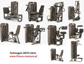 Technogym ARTIS 10 maszyn / 35300 EUR  Maszyny do Siłowni